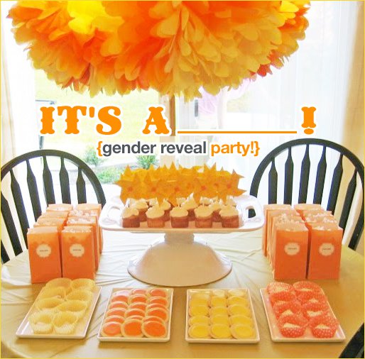DIY Baby Gender Reveal Party! Sendo Invitations