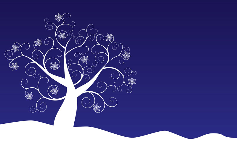 snow invitation